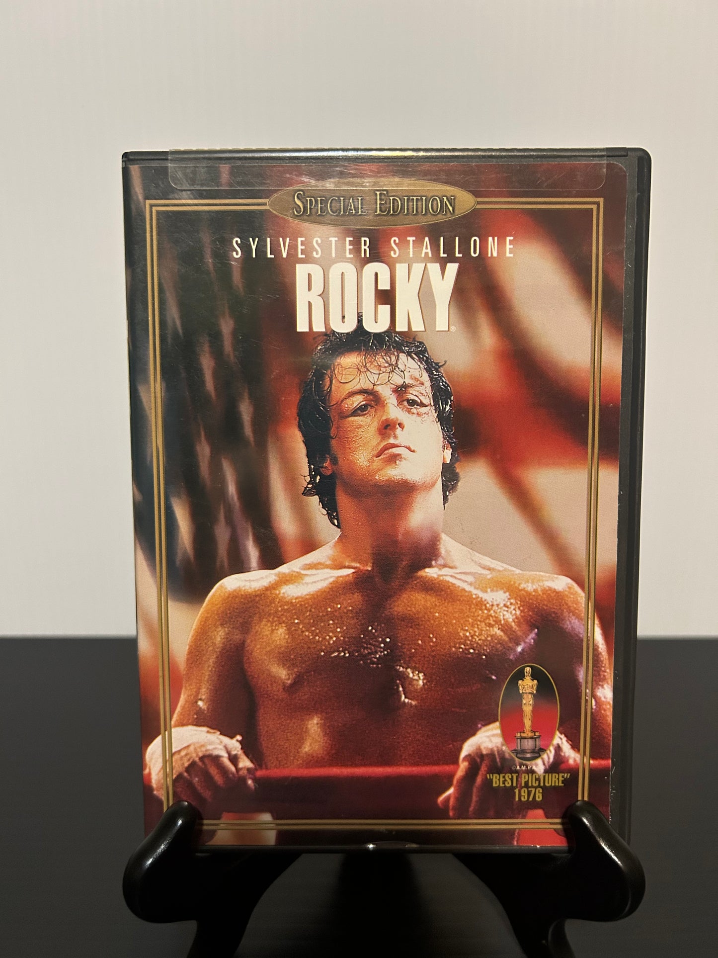 Rocky (Used)